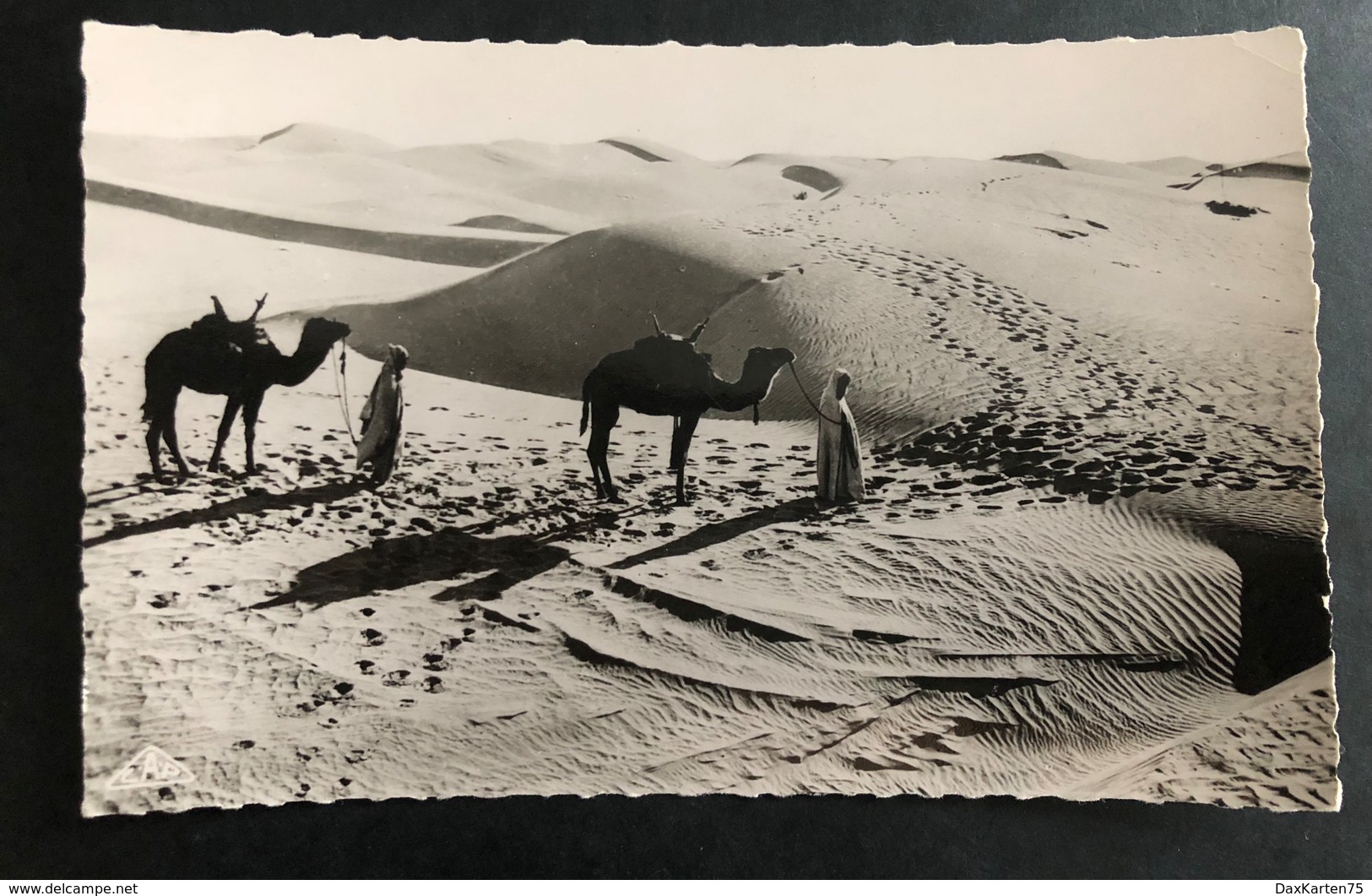 Scenes Et Types Passage De Dunes Au Desert - Ozeanien
