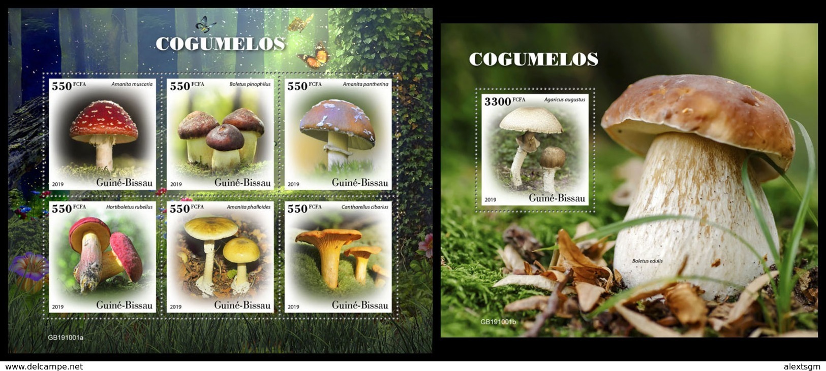 GUINEA BISSAU 2019 - Mushrooms. M/S + S/S. Official Issue [GB191001] - Funghi