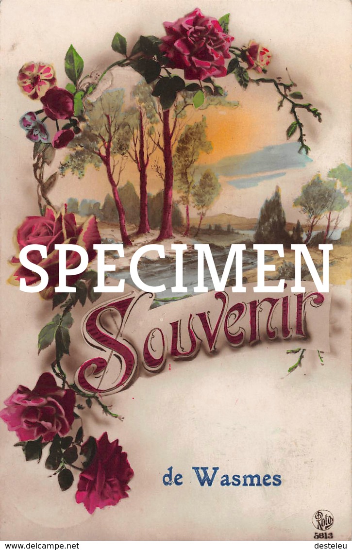 Souvenir De Wasmes - Colfontaine