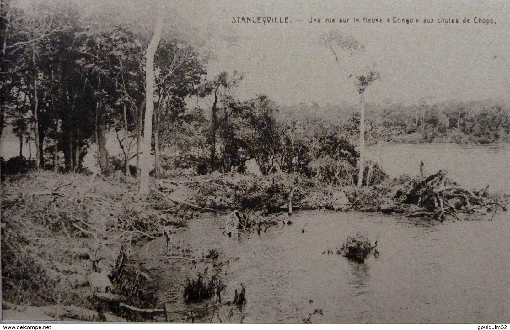 Stanleyville : Une Vue Sur Le Fleuve Congo Aux Chutes De Chopo - Congo Belge