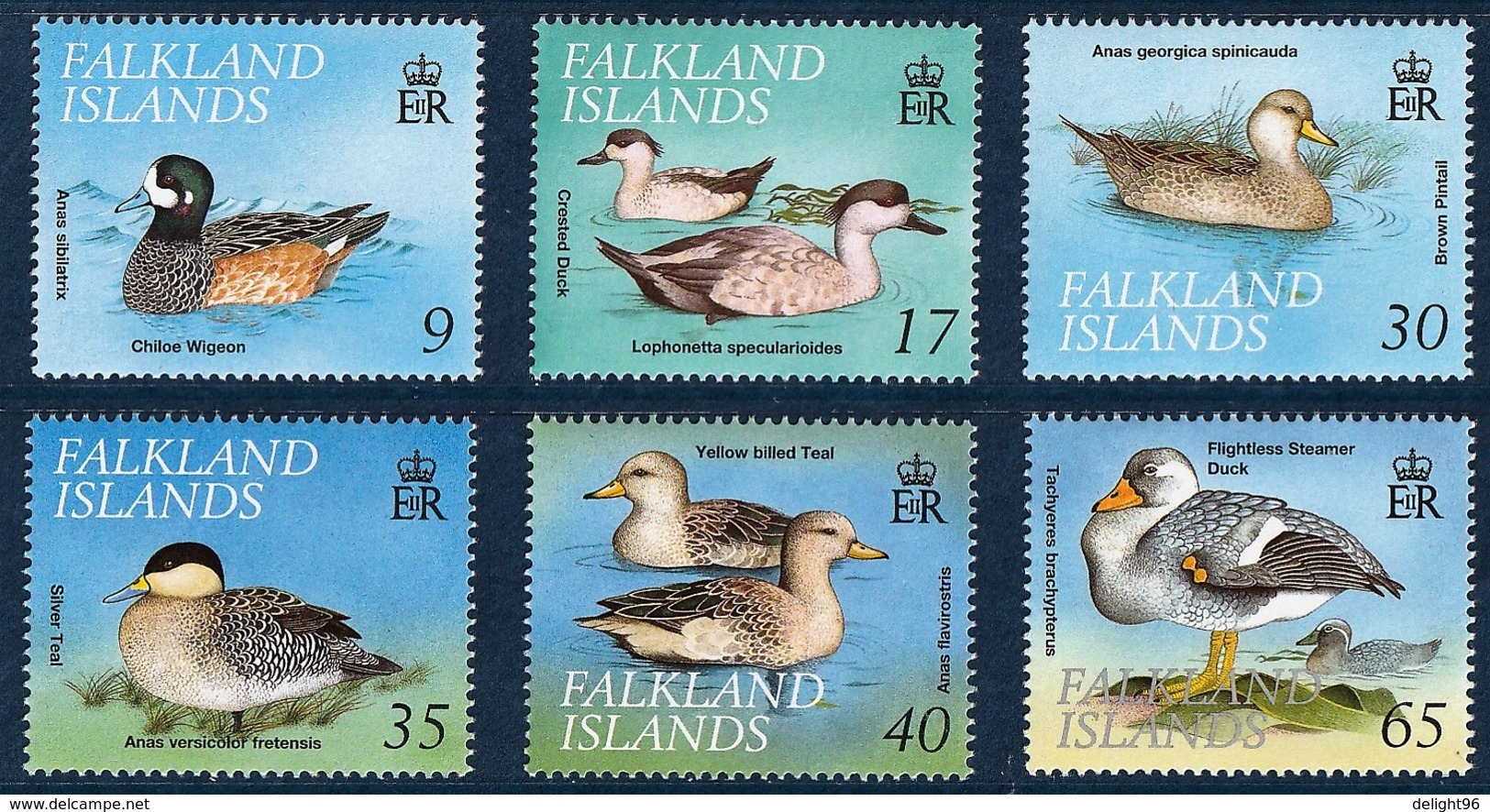 1999 Falkland Islands Ducks Set (** / MNH / UMM) - Canards