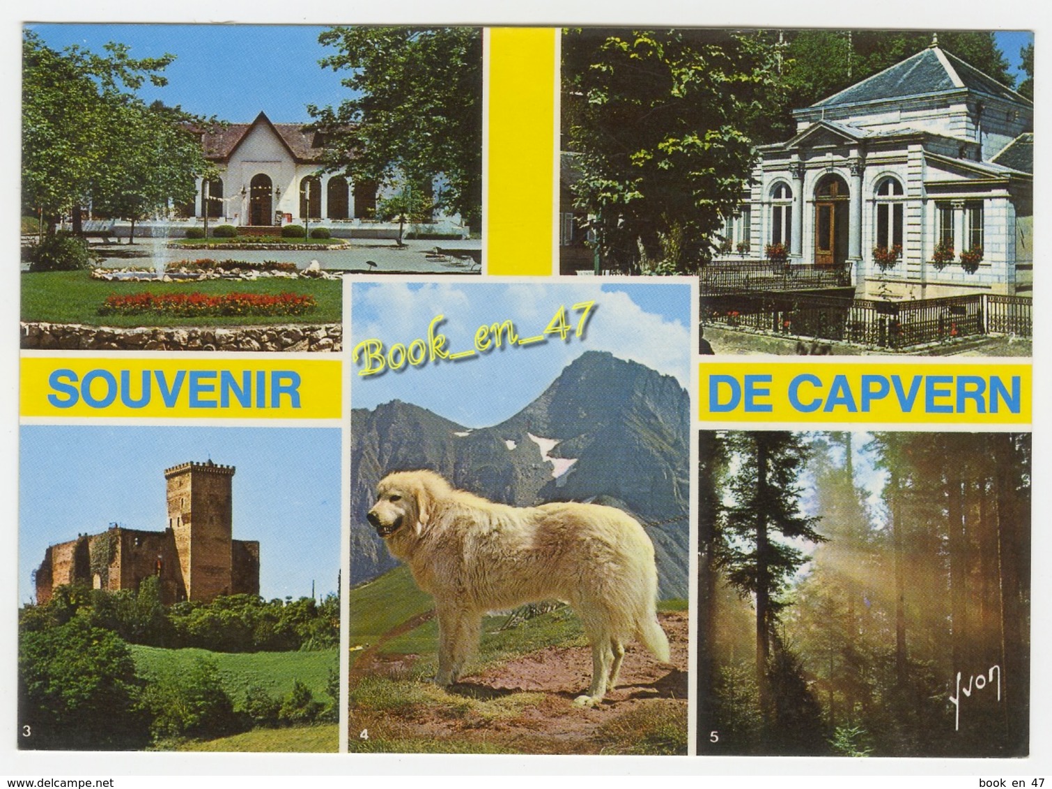 {61451} 65 Hautes Pyrénées Capvern Les Bains , Multivues ; Casino , Etablissement Thermal , Château De Mauvezin , Chien - Autres & Non Classés