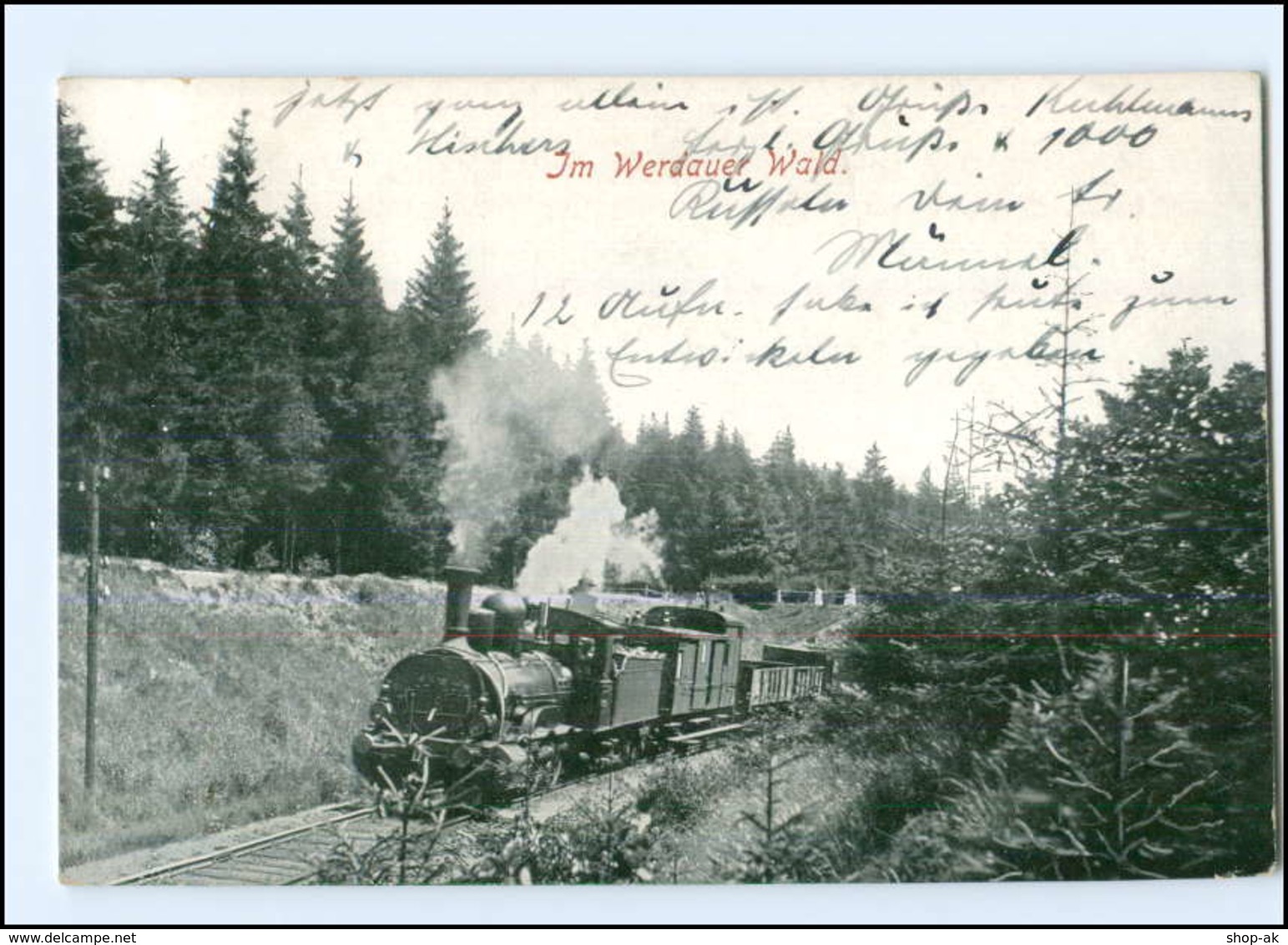 XX005272/ Eisenbahn  Im Werdauer Wald AK 1929 - Altri & Non Classificati