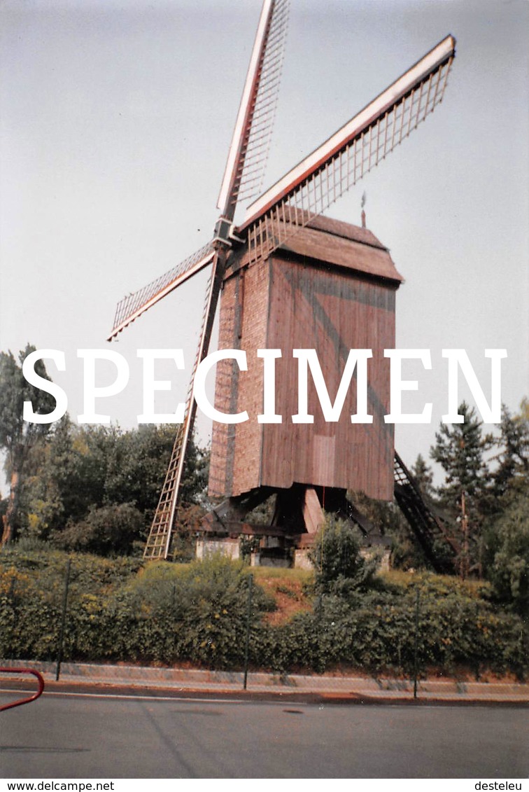 Foto Molen - Kuurne - Kuurne