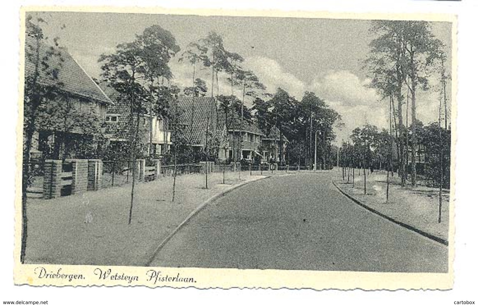 Driebergen, Wetsteyn Pfisterlaan - Driebergen – Rijsenburg