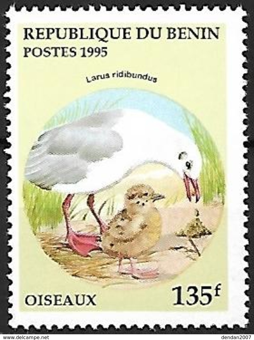 BENIN - MNH 1995 -   Black-headed Gull  -  Chroicocephalus Ridibundus - Seagulls