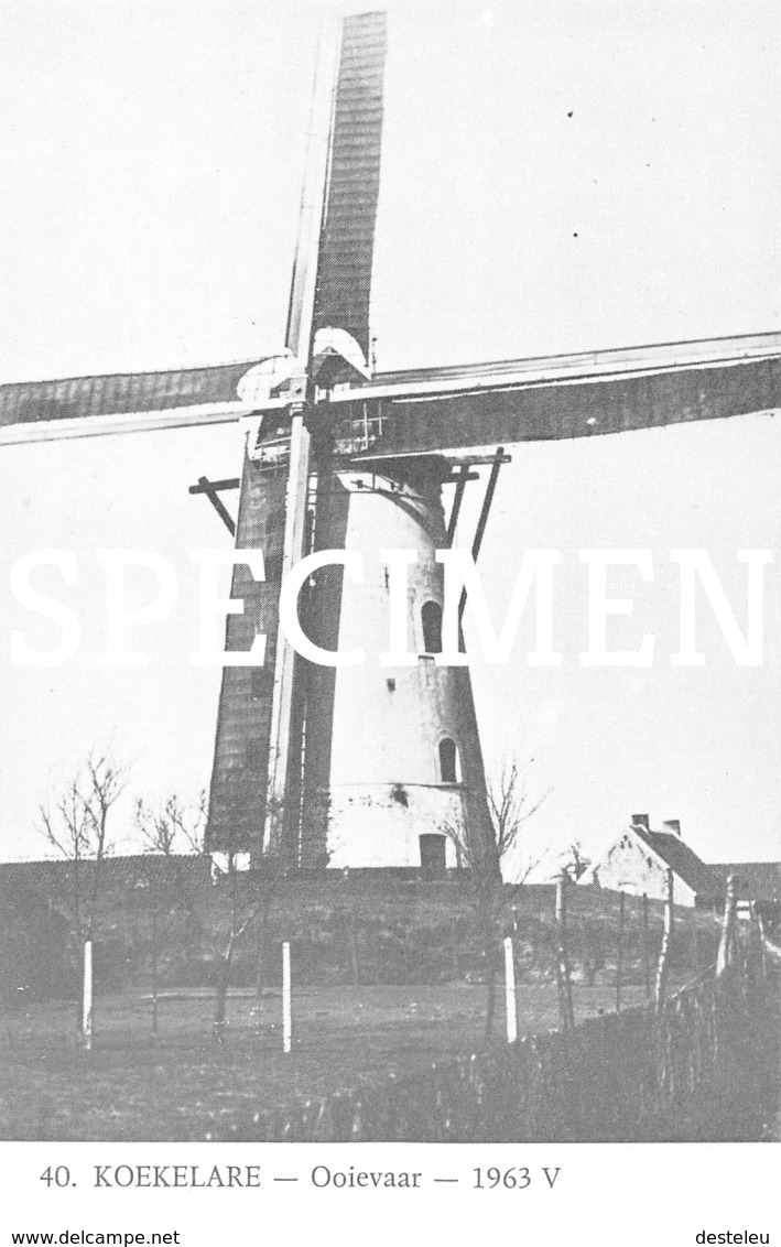 40 Molen Oooievaar 1963  Repro -  Koekelare - Koekelare