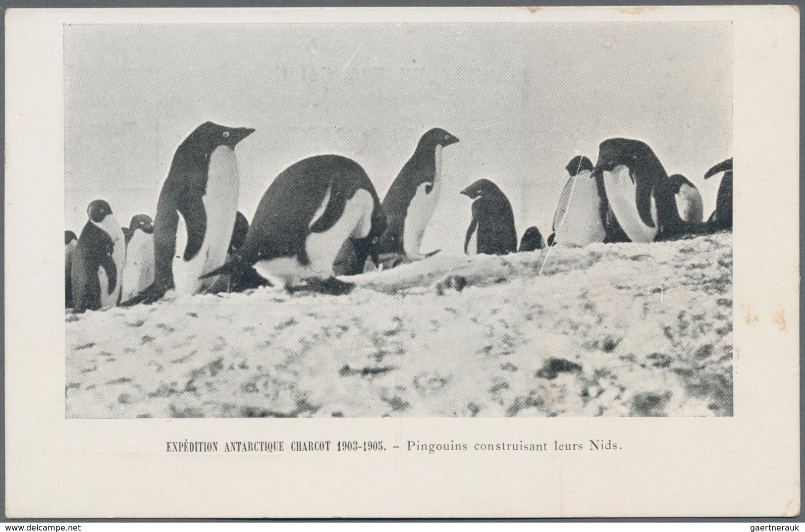 Thematik: Antarktis / antarctic: 1903/05, French Antarctic expedition "Misson Charcot", six official