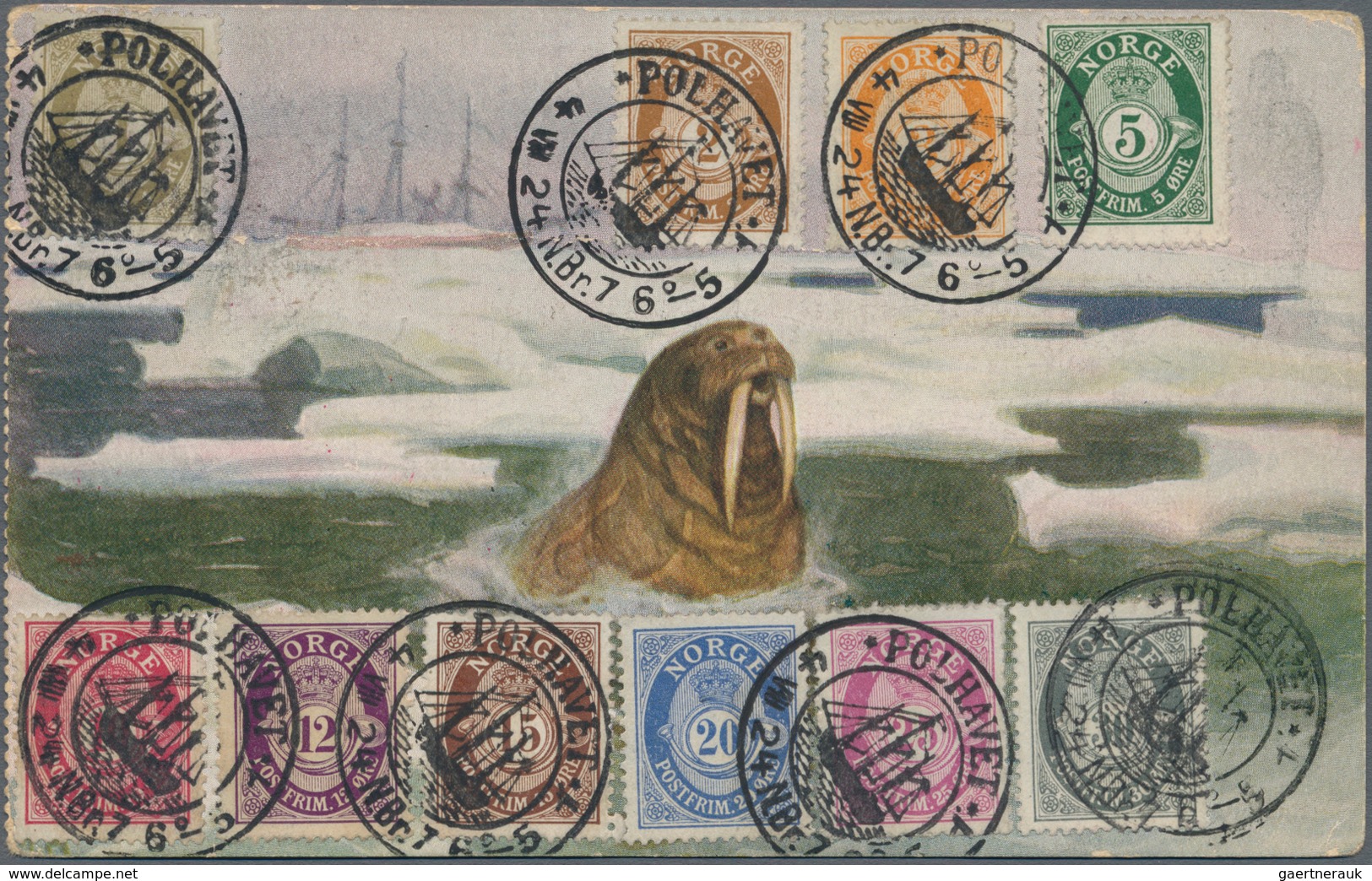 Thematik: Arktis / Arctic: 1924/1926, POLHAVET, "FRAM" Ppc "Walrus" Bearing Norway 1ö.-30ö. On Pictu - Sonstige & Ohne Zuordnung