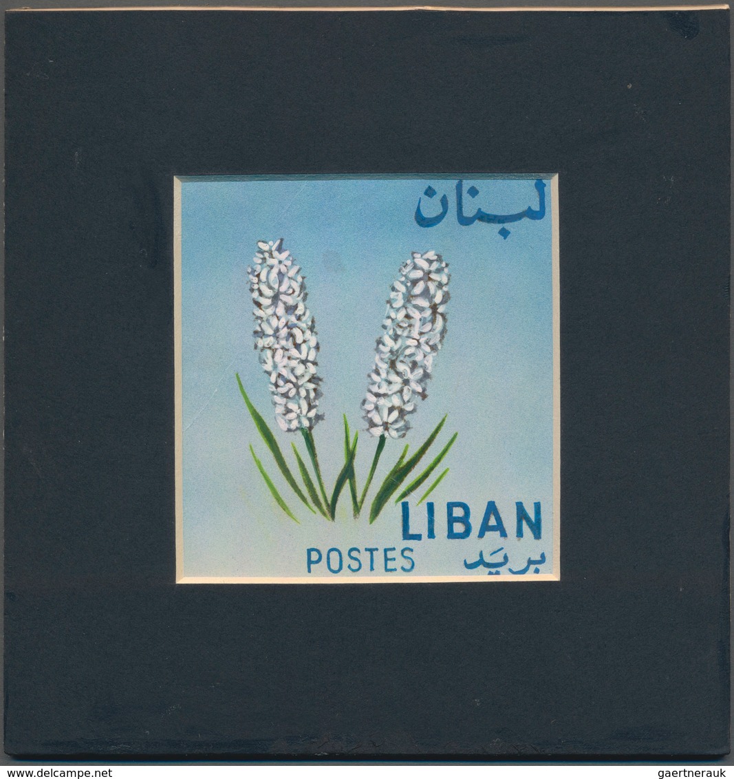 Thematik: Flora, Botanik / Flora, Botany, Bloom: 1964, Libanon, Issue Flowers, Artist Drawing (85x90 - Sonstige & Ohne Zuordnung