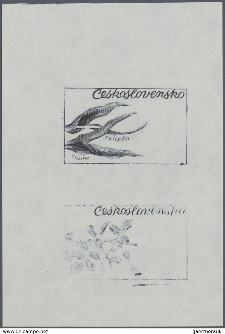 Thematik: Flora, Botanik / Flora, Botany, Bloom: 1973, Czechoslovakia, 60h. "Tulipa", Three Progress - Other & Unclassified