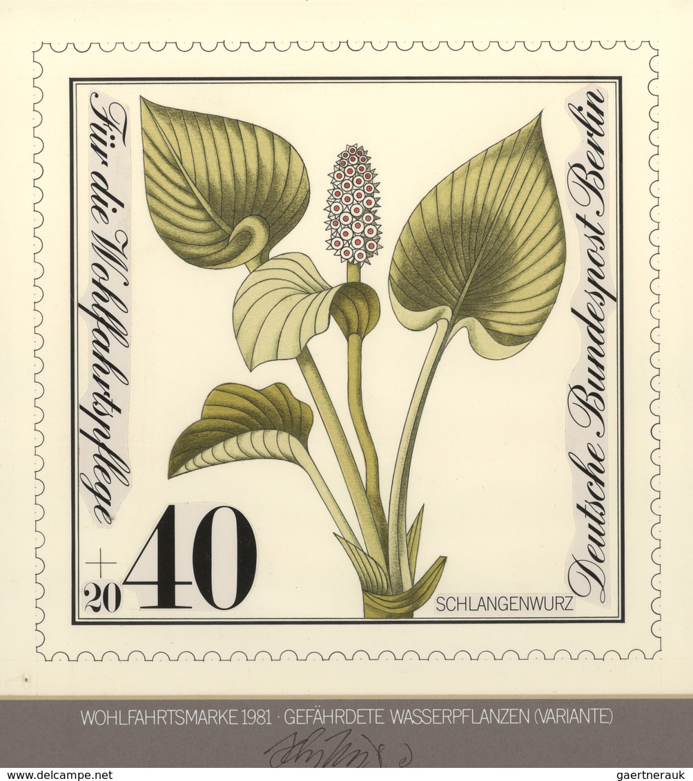 Thematik: Flora, Botanik / Flora, Botany, Bloom: 1980, Berlin Nicht Angenommener Künstlerentwurf (24 - Sonstige & Ohne Zuordnung