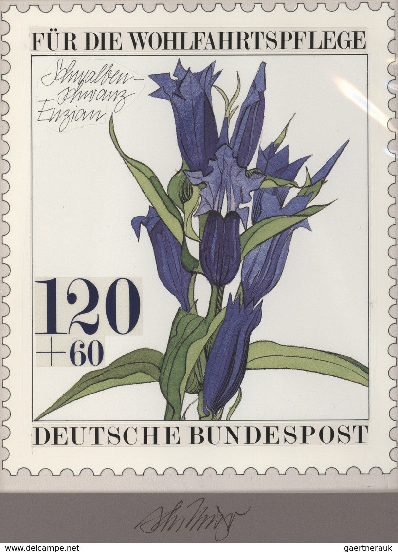 Thematik: Flora, Botanik / Flora, Botany, Bloom: 1983, Bund, Nicht Angenommener Künstlerentwurf (17x - Other & Unclassified