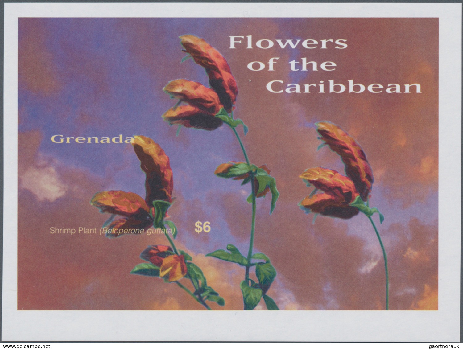 Thematik: Flora, Botanik / Flora, Botany, Bloom: 2003, GRENADA: Flowers Of The Caribbean Complete IM - Other & Unclassified