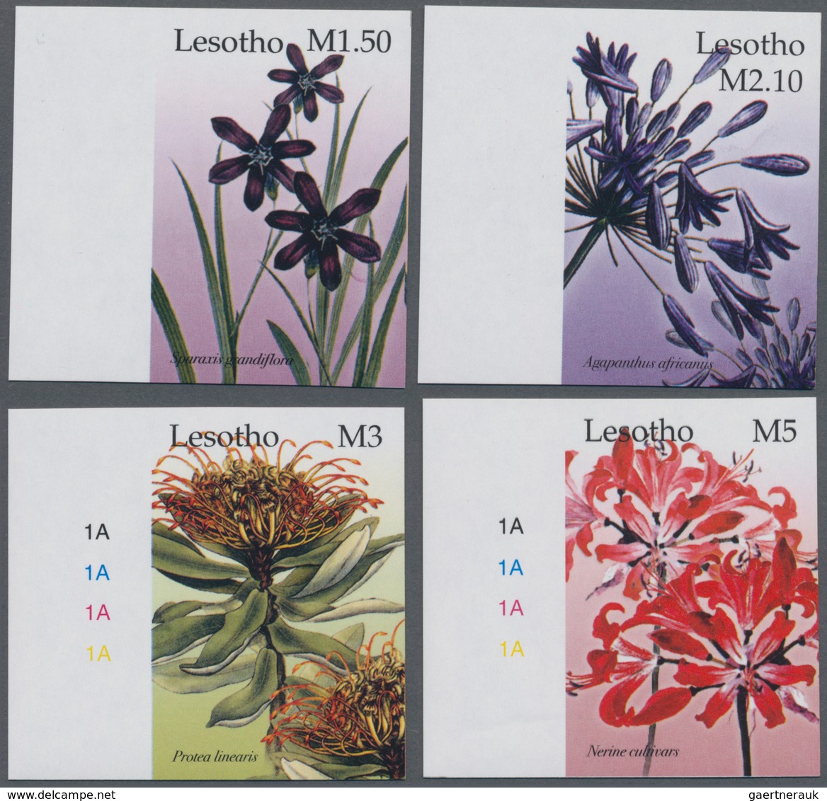Thematik: Flora, Botanik / Flora, Botany, Bloom: 2004, LESOTHO: Flowers Complete IMPERFORATE Set Of - Sonstige & Ohne Zuordnung