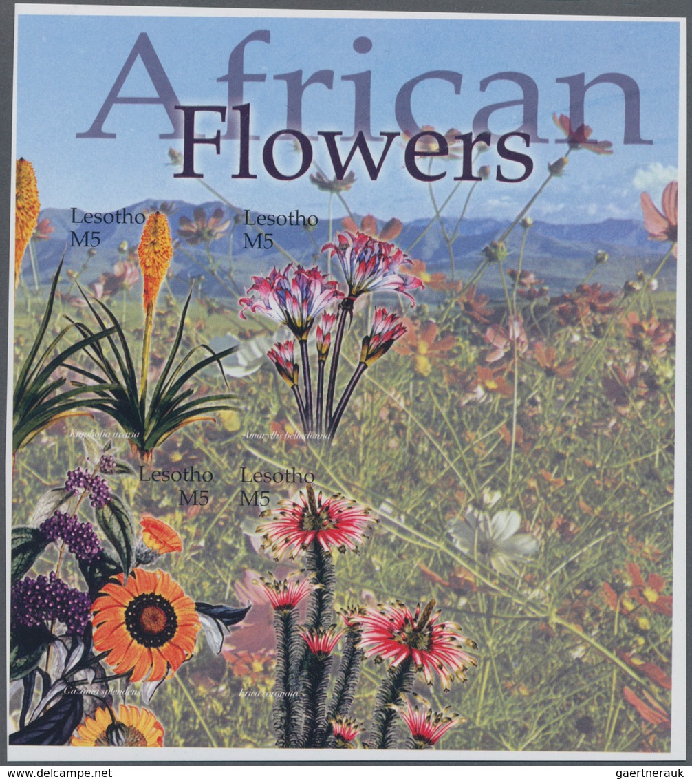 Thematik: Flora, Botanik / Flora, Botany, Bloom: 2004, LESOTHO: Flowers Complete IMPERFORATE Set Of - Other & Unclassified