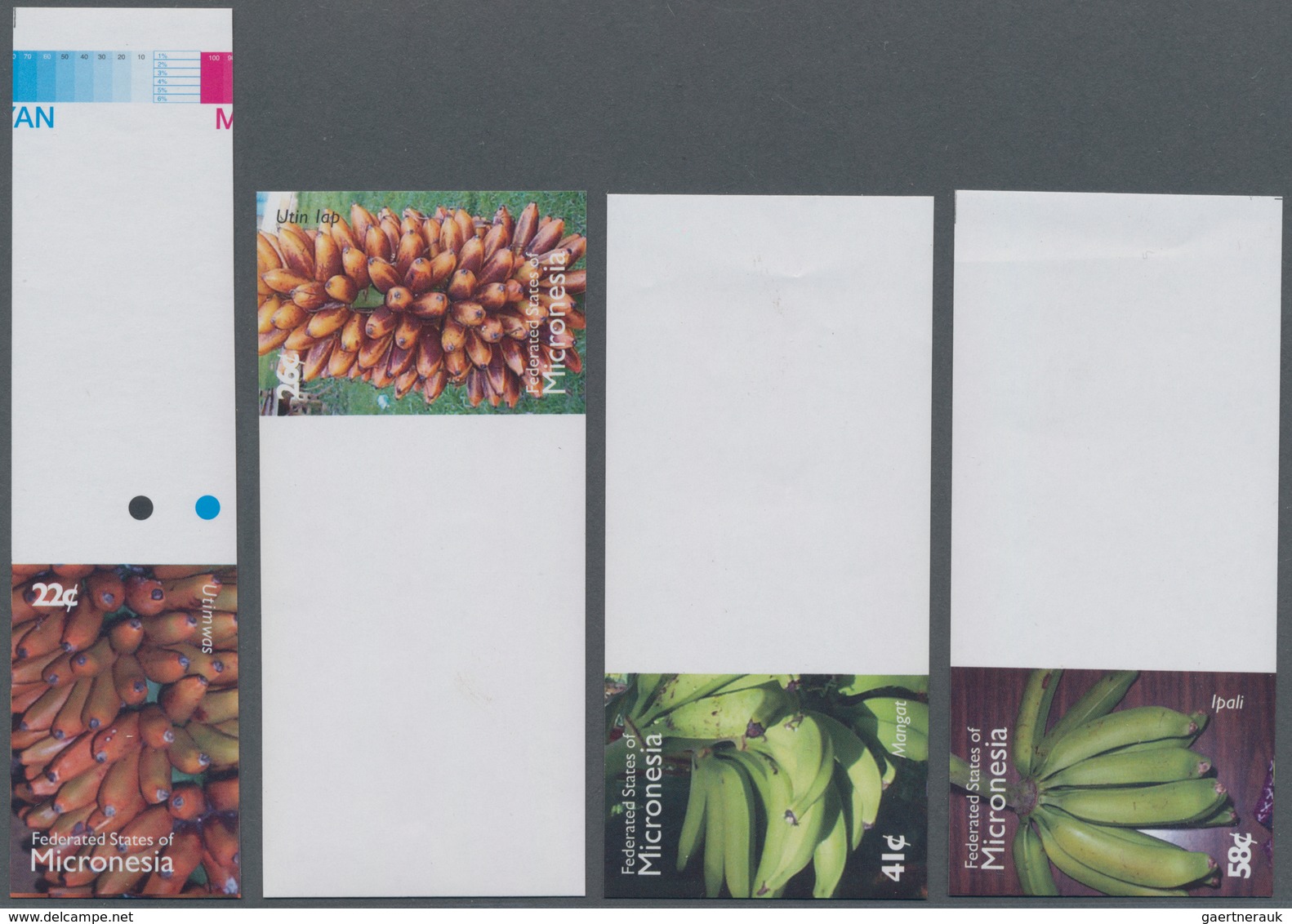 Thematik: Flora-Obst + Früchte / Flora-fruits: 2007, MICRONESIA: Definitive Issue 'Banana Species' C - Fruits