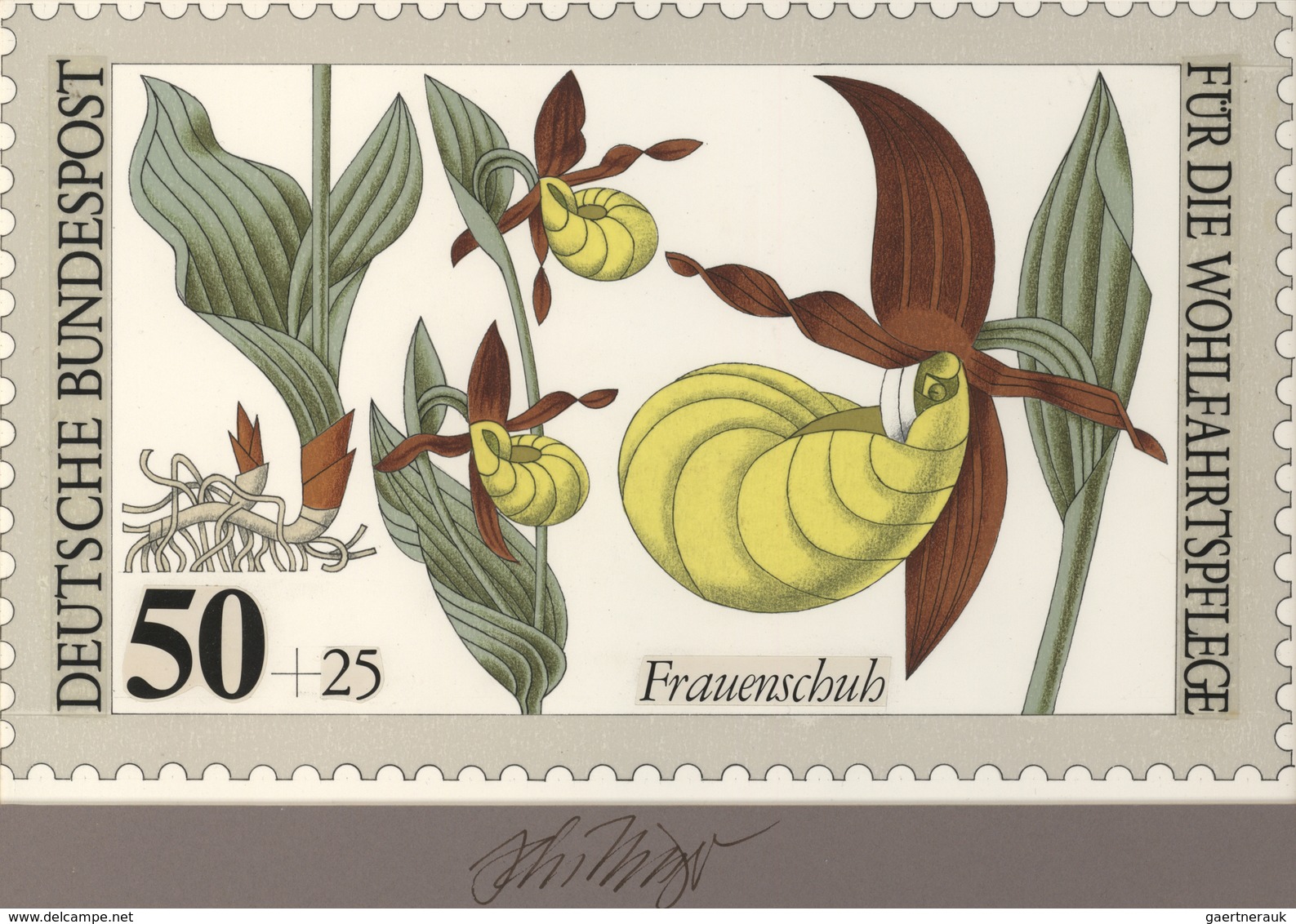 Thematik: Flora-Orchideen / Flora-orchids: 1984, Bund, Nicht Angenommener Künstlerentwurf (26x16) Vo - Orchideen