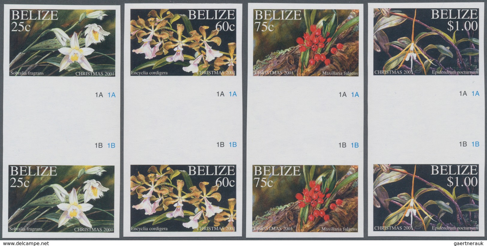 Thematik: Flora-Orchideen / Flora-orchids: 2001, BELIZE: Christmas 'Orchids' Complete Set Of Four (S - Orchids