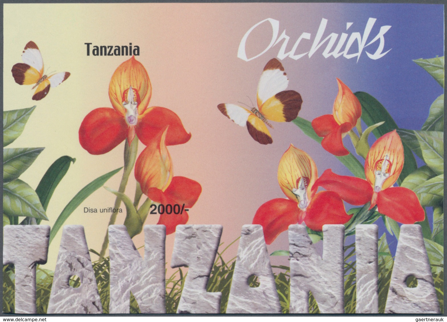 Thematik: Flora-Orchideen / Flora-orchids: 2004, Tanzania. Imperforate Souvenir Sheet (1 Value) From - Orchids
