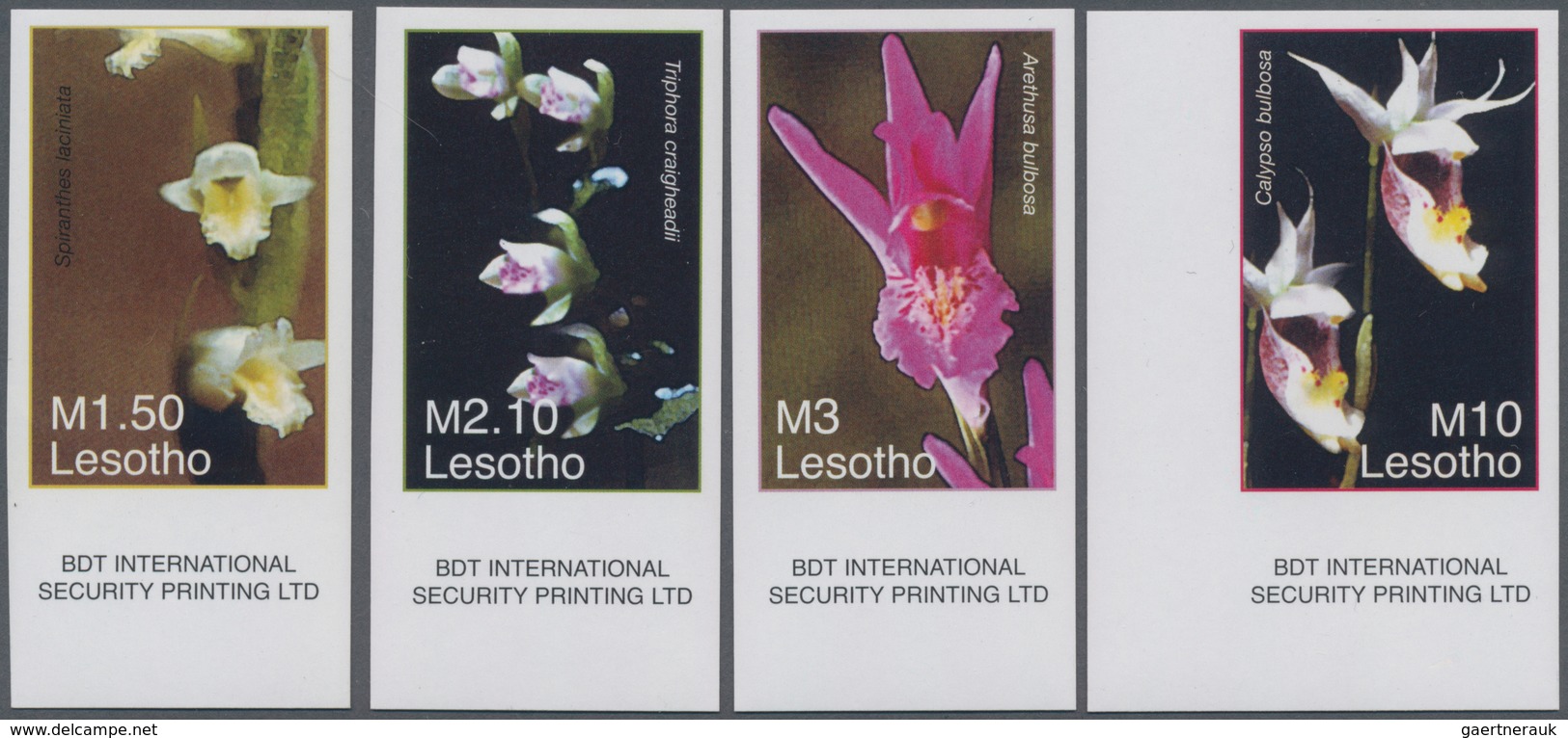 Thematik: Flora-Orchideen / Flora-orchids: 2007, LESOTHO: Orchids Complete IMPERFORATE Set Of Four F - Orchids