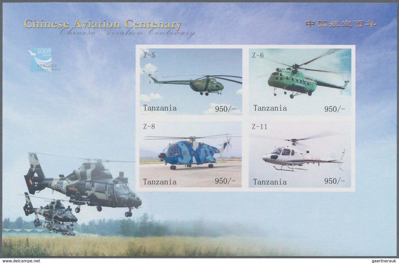 Thematik: Flugzeuge-Hubschrauber / Airplanes-helicopter: 2010, Tanzania. Imperforate Miniature Sheet - Aviones