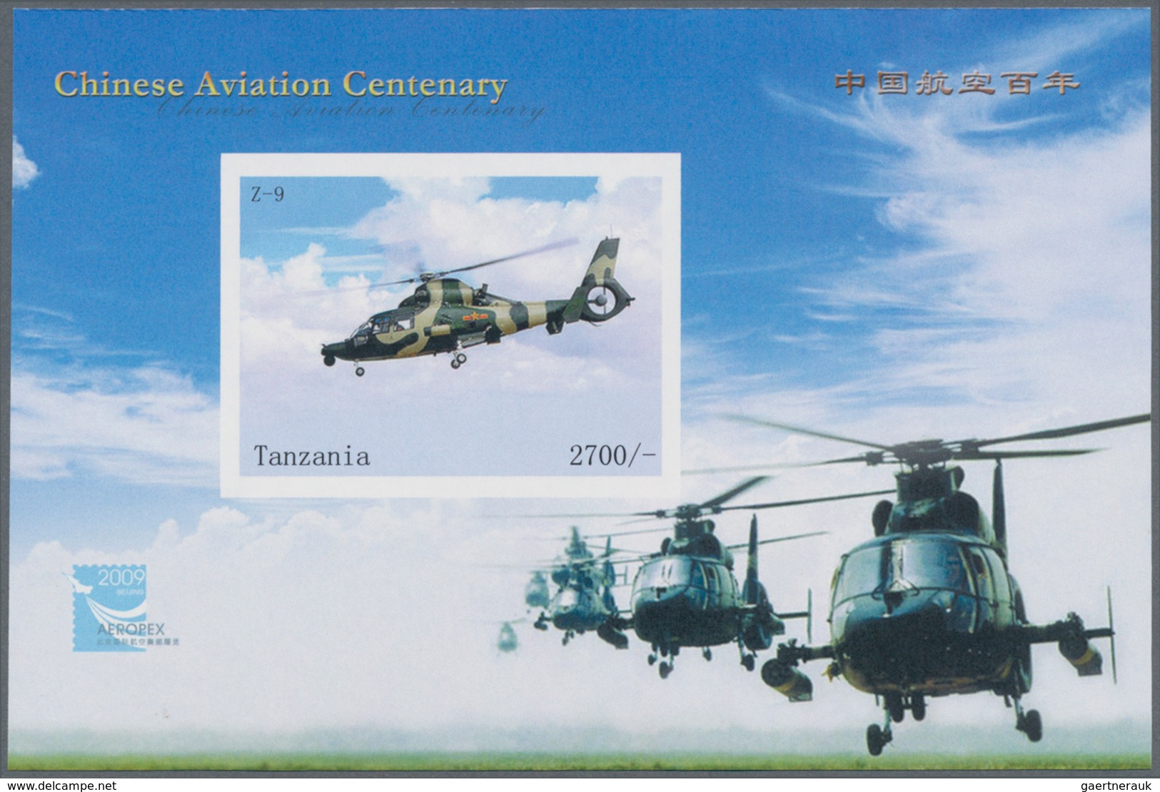 Thematik: Flugzeuge-Hubschrauber / Airplanes-helicopter: 2010, Tanzania. Imperforate Souvenir Sheet - Airplanes