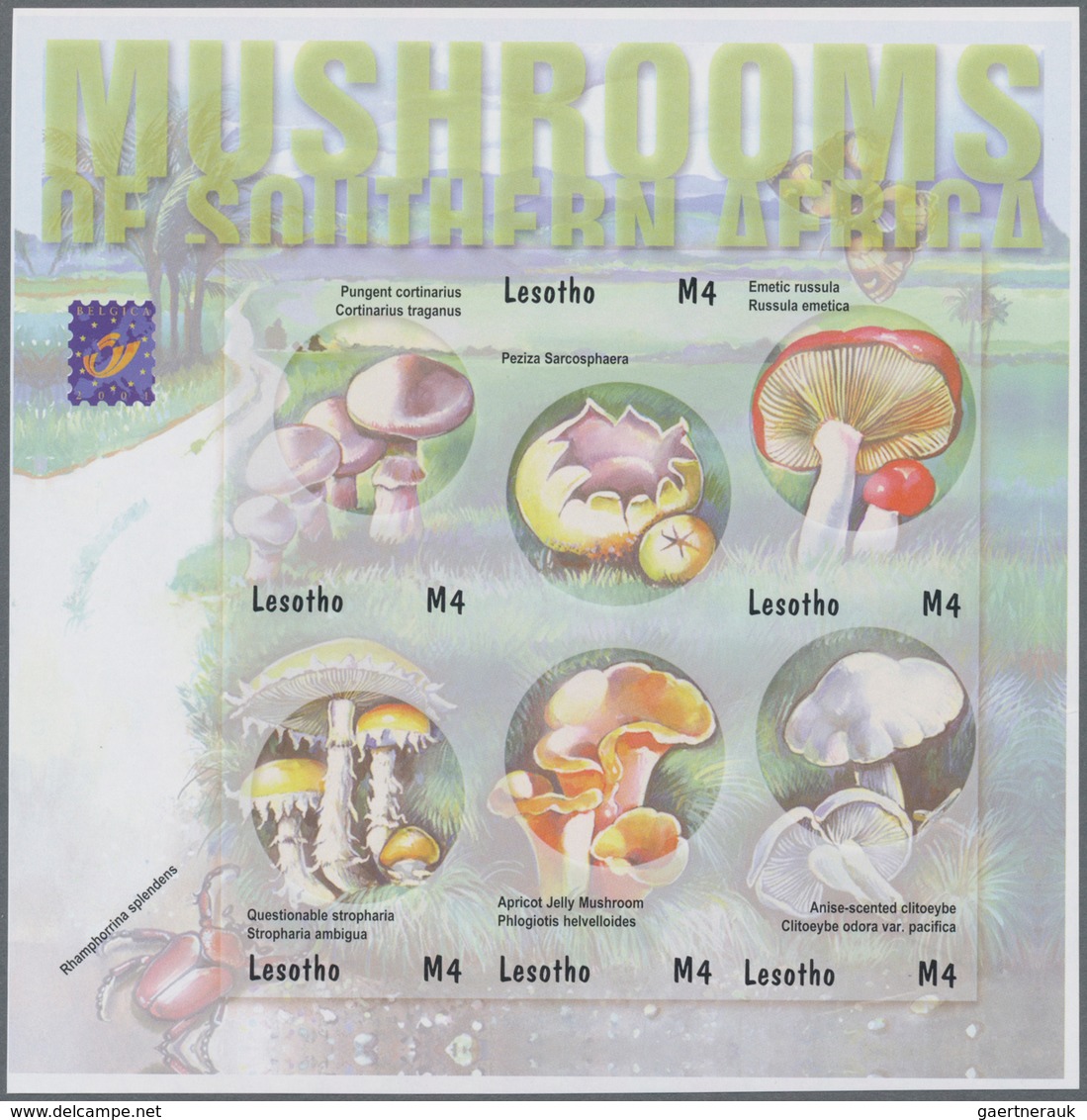 Thematik: Pilze / Mushrooms: 2001, LESOTHO: Mushrooms In Southern Africa Complete Set Of Four In An - Mushrooms