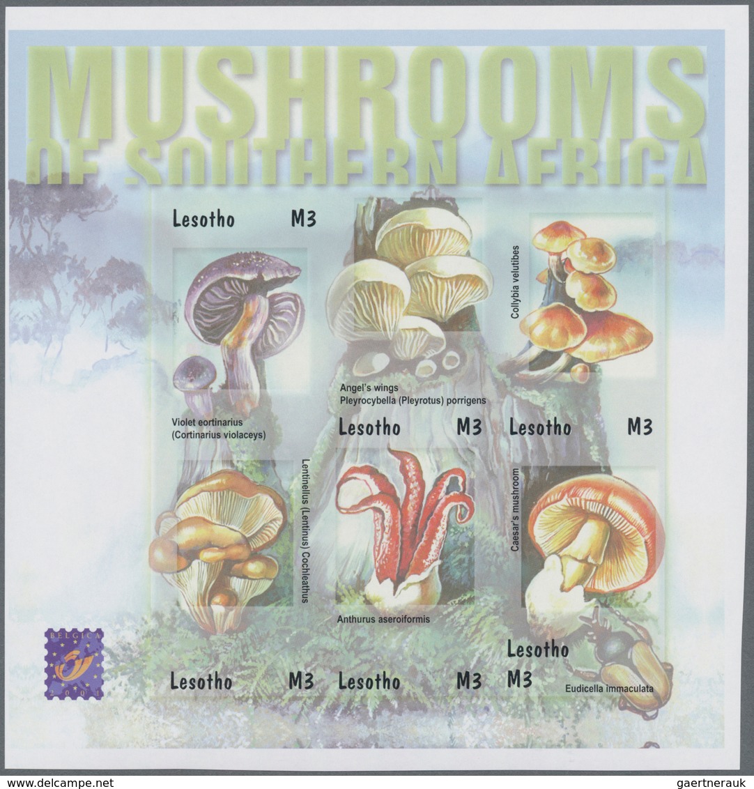 Thematik: Pilze / mushrooms: 2001, LESOTHO: Mushrooms in Southern Africa complete set of four in an