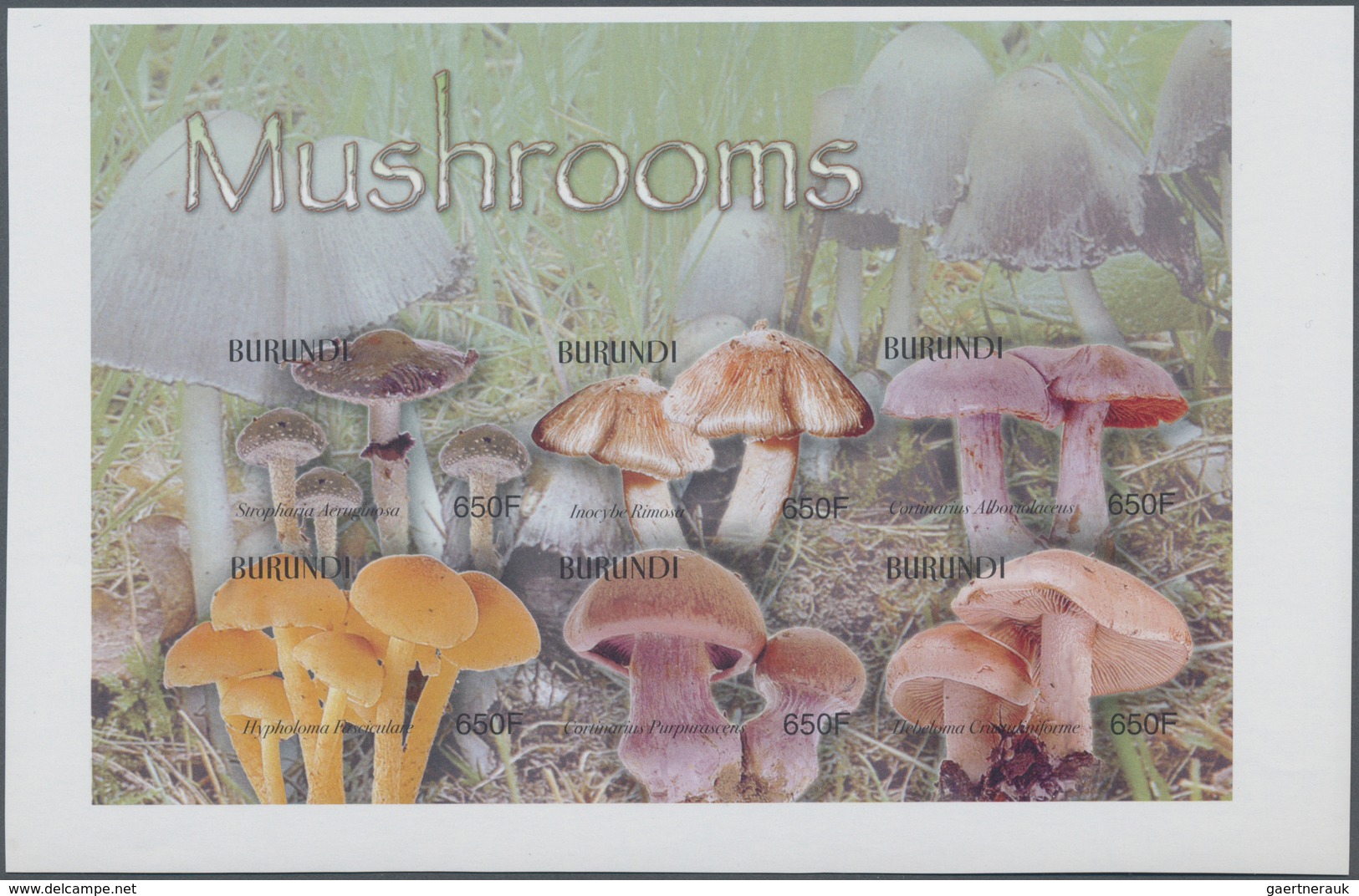 Thematik: Pilze / Mushrooms: 2004, BURUNDI: Mushrooms Complete Set Of Six In An IMPERFORATE Sheetlet - Mushrooms