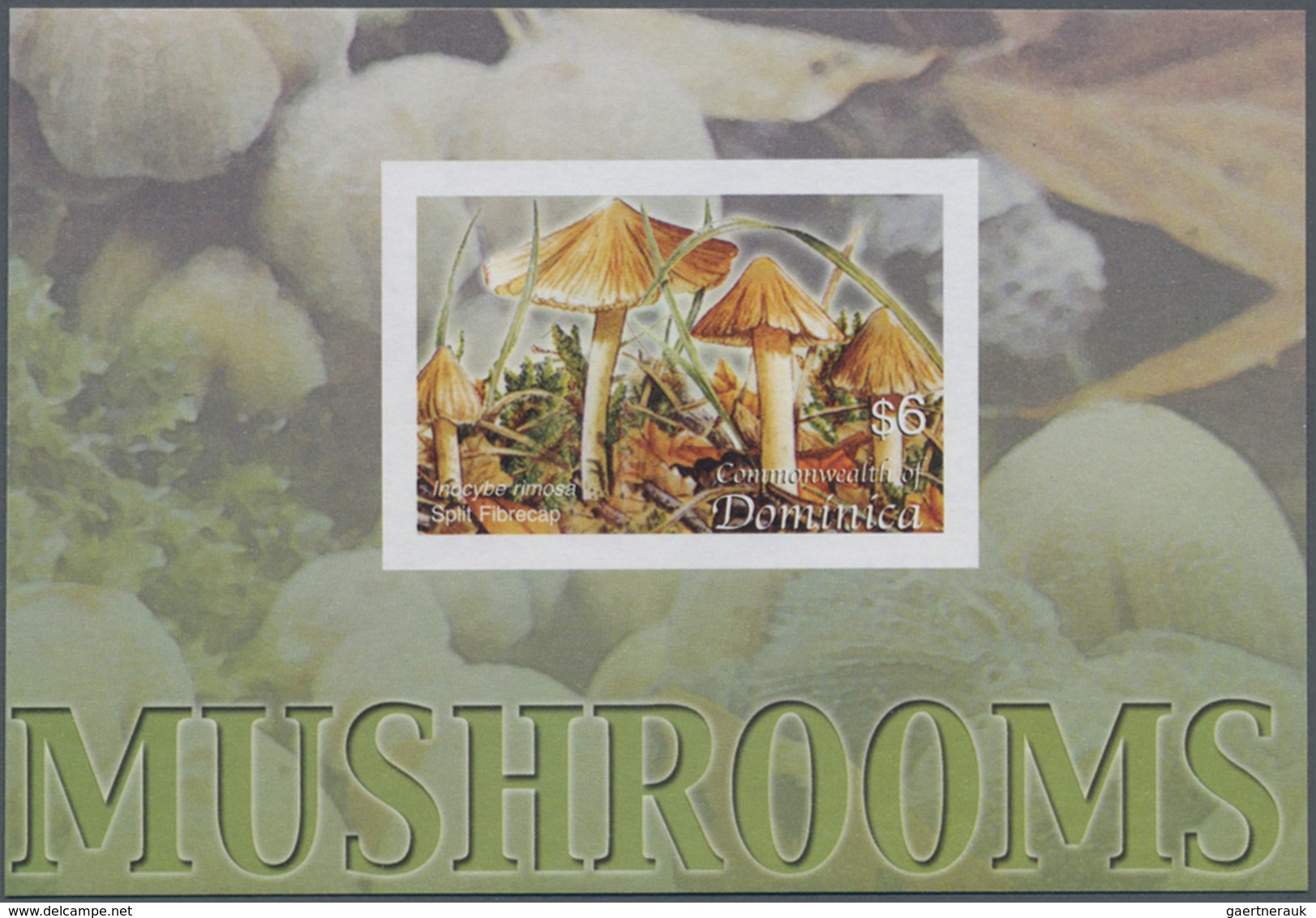 Thematik: Pilze / Mushrooms: 2005, Dominica. Imperforate Souvenir Sheet (1 Value) Showing "Split Fib - Mushrooms