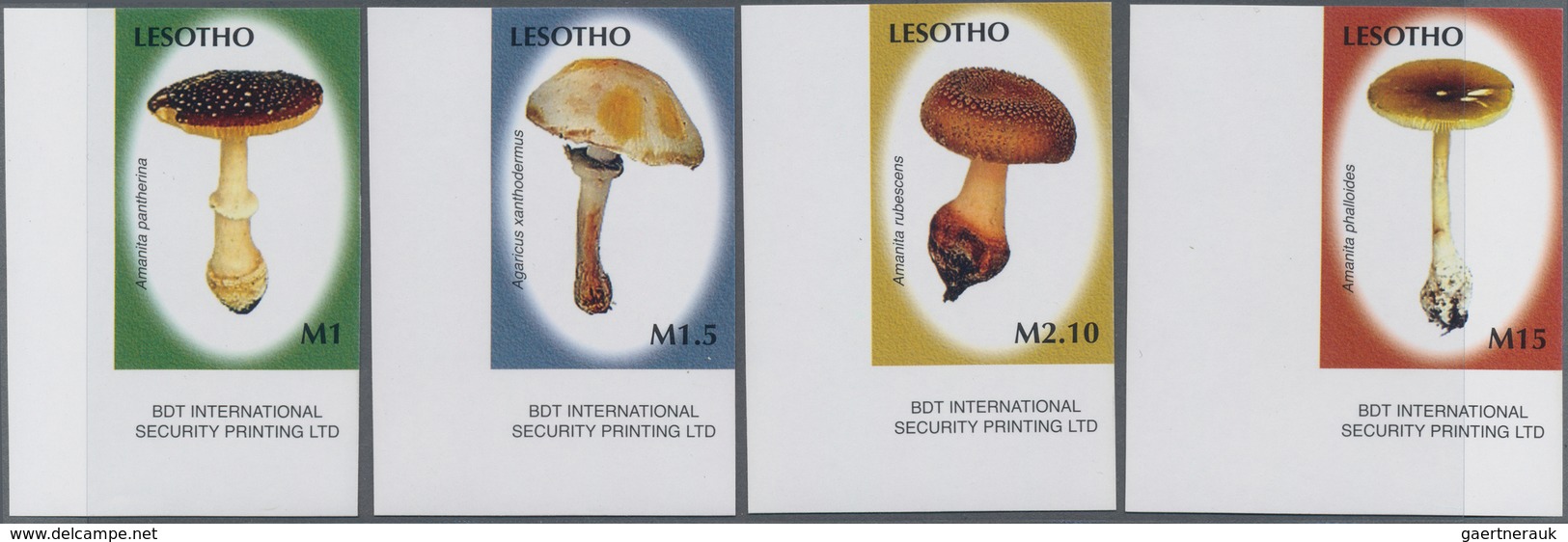 Thematik: Pilze / Mushrooms: 2007, LESOTHO: Mushrooms Complete IMPERFORATE Set Of Four From Lower Le - Pilze