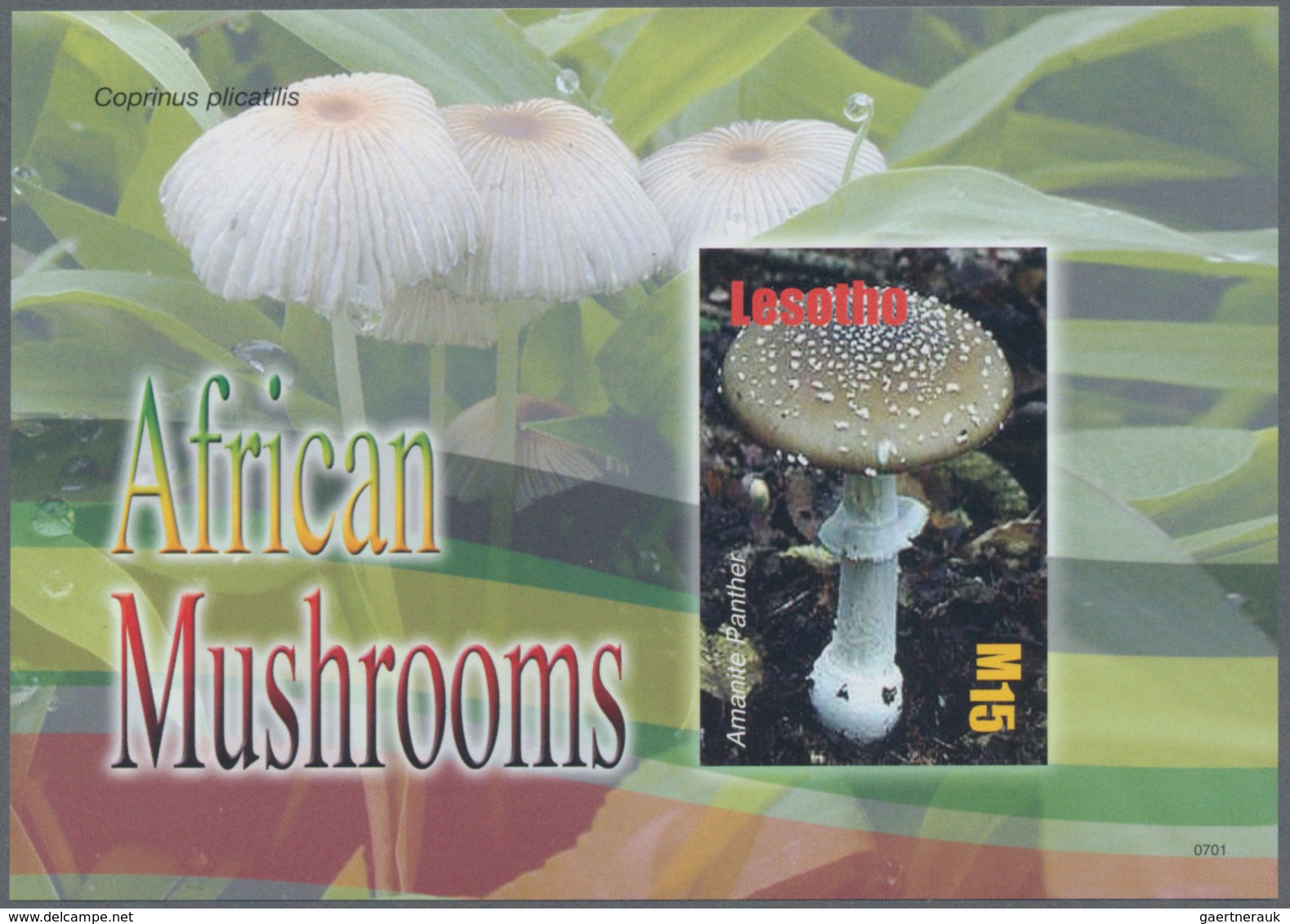 Thematik: Pilze / Mushrooms: 2007, LESOTHO: Mushrooms Complete IMPERFORATE Set Of Four From Lower Le - Mushrooms