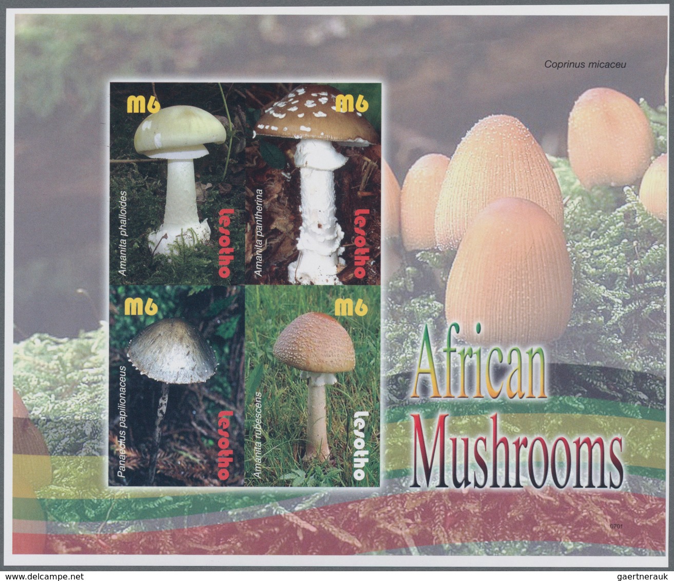 Thematik: Pilze / mushrooms: 2007, LESOTHO: Mushrooms complete IMPERFORATE set of four from lower le