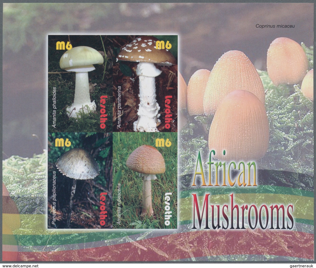 Thematik: Pilze / Mushrooms: 2007, Lesotho. Imperforate Miniature Sheet Of 4 For The "Mushrooms From - Pilze