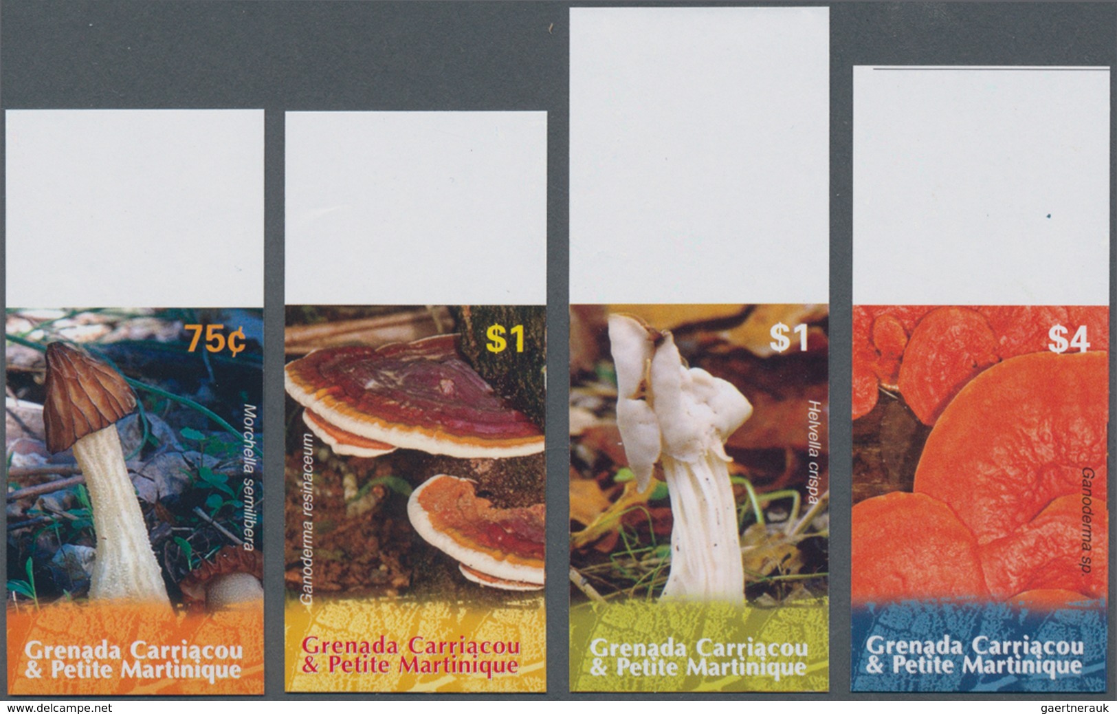 Thematik: Pilze / Mushrooms: 2007, GRENADA-CARRIACOU: Mushrooms IMPERFORATE Set Of Four (Morchella S - Mushrooms