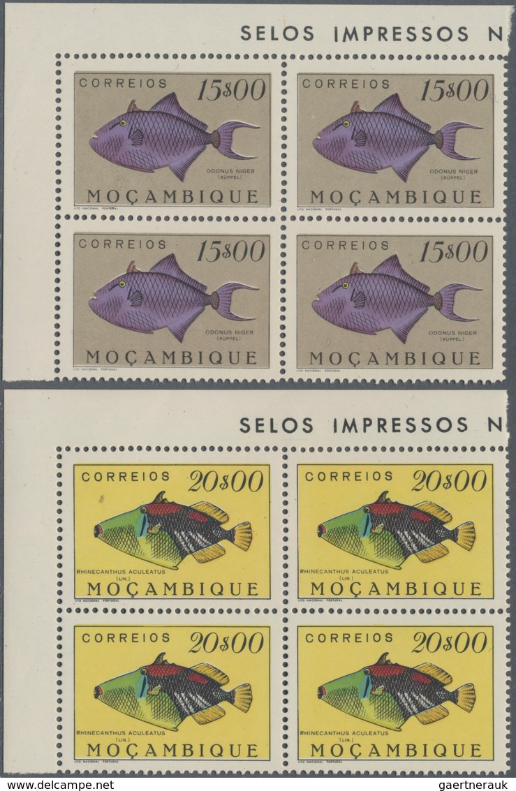 Thematik: Tiere, Fauna / Animals, Fauna: 1951, Fishes, 24 Values In Corner Blocks Of Four Mint Never - Sonstige & Ohne Zuordnung