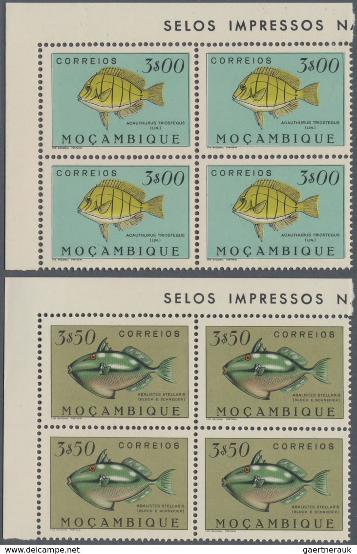 Thematik: Tiere, Fauna / Animals, Fauna: 1951, Fishes, 24 Values In Corner Blocks Of Four Mint Never - Sonstige & Ohne Zuordnung