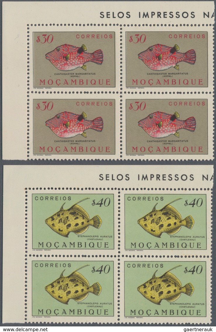 Thematik: Tiere, Fauna / Animals, Fauna: 1951, Fishes, 24 Values In Corner Blocks Of Four Mint Never - Sonstige & Ohne Zuordnung