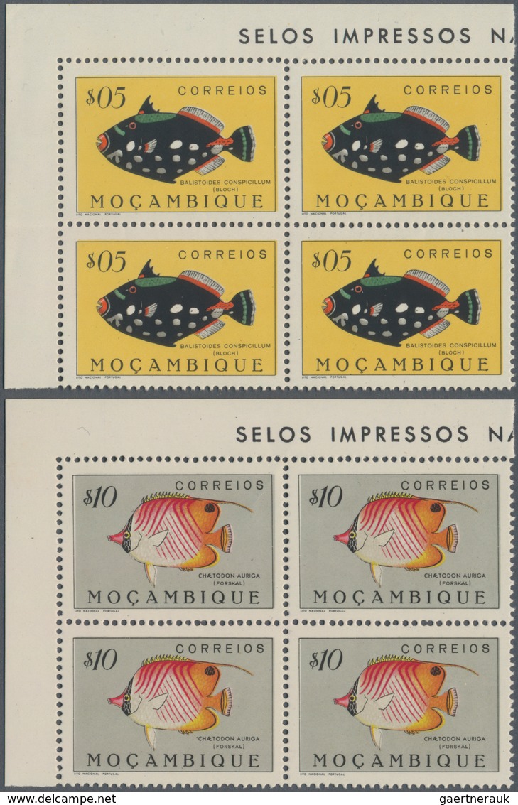 Thematik: Tiere, Fauna / animals, fauna: 1951, Fishes, 24 values in corner blocks of four mint never