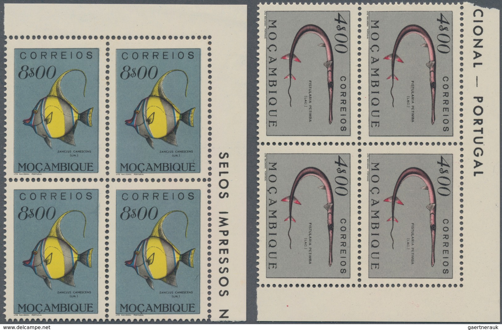 Thematik: Tiere, Fauna / animals, fauna: 1951, Fishes, 24 values in corner blocks of four mint never