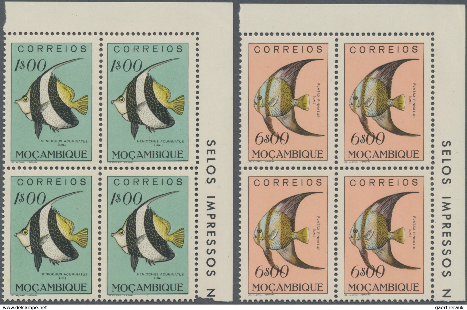 Thematik: Tiere, Fauna / animals, fauna: 1951, Fishes, 24 values in corner blocks of four mint never