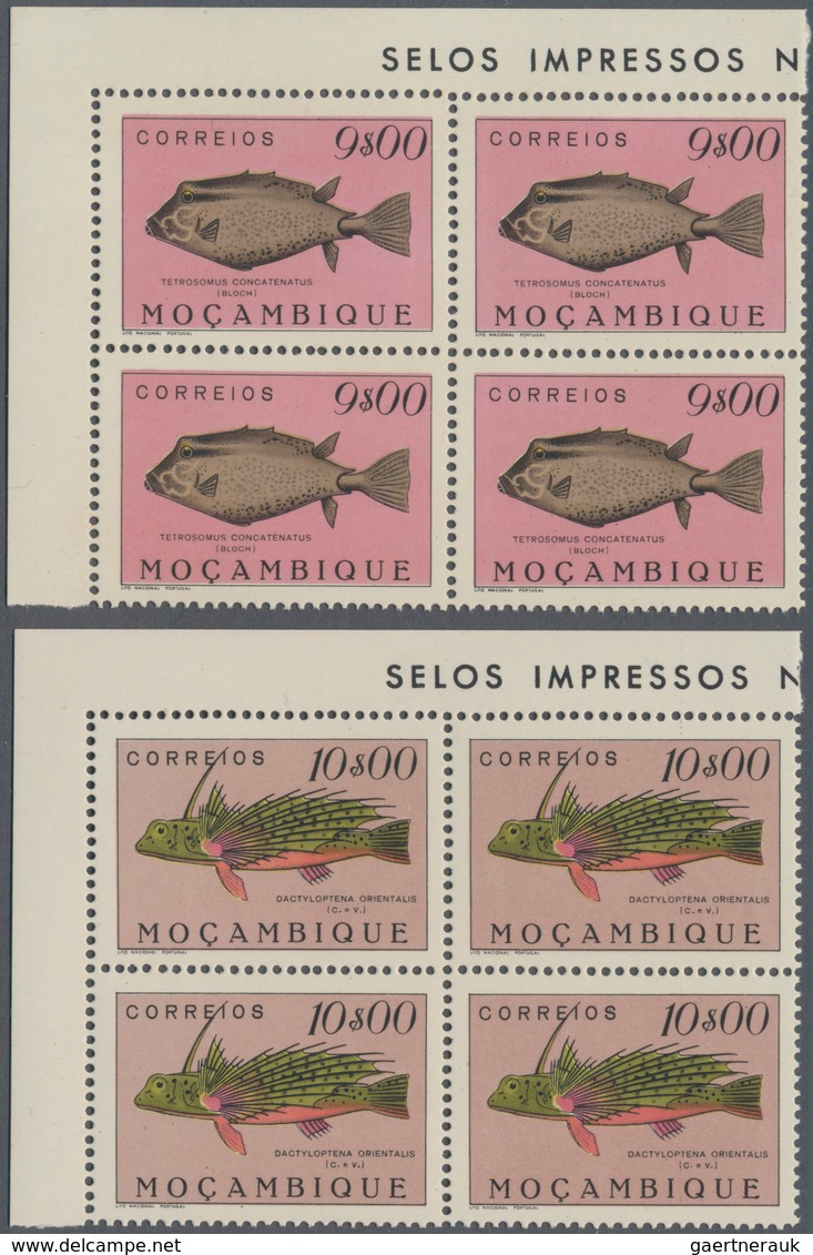 Thematik: Tiere, Fauna / animals, fauna: 1951, Fishes, 24 values in corner blocks of four mint never