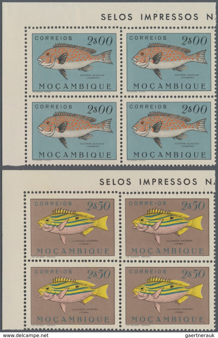 Thematik: Tiere, Fauna / animals, fauna: 1951, Fishes, 24 values in corner blocks of four mint never