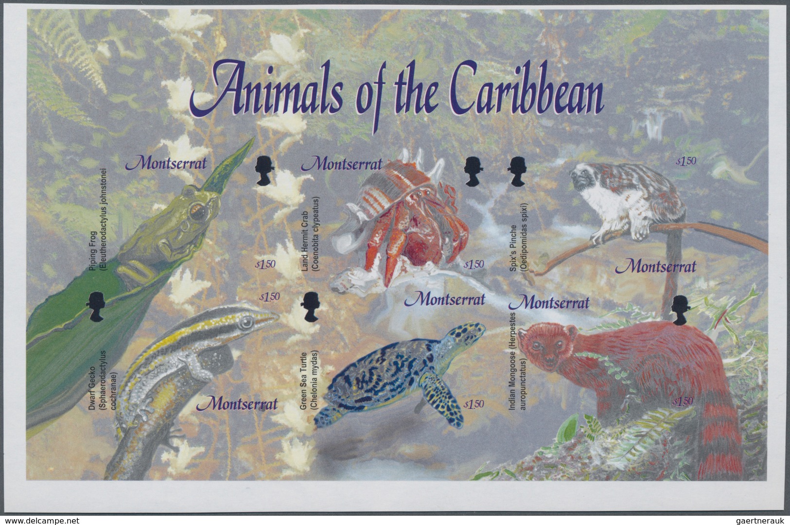 Thematik: Tiere, Fauna / Animals, Fauna: 2003, MONTSERRAT: Animals Of The Caribbean Complete Set Of - Sonstige & Ohne Zuordnung