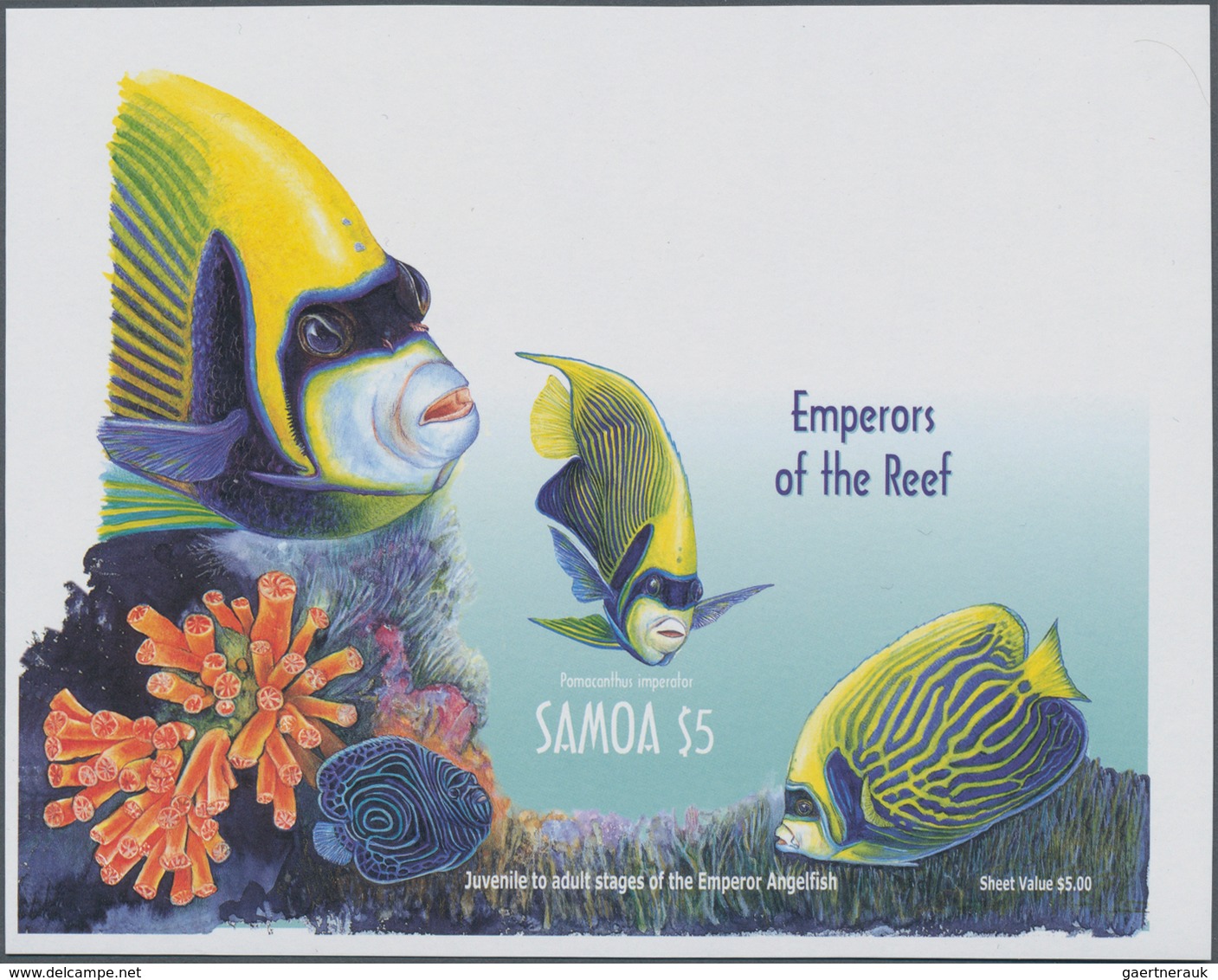 Thematik: Tiere-Fische / Animals-fishes: 2003, SAMOA: Fishes Complete Set Of Four In Horizontal IMPE - Vissen