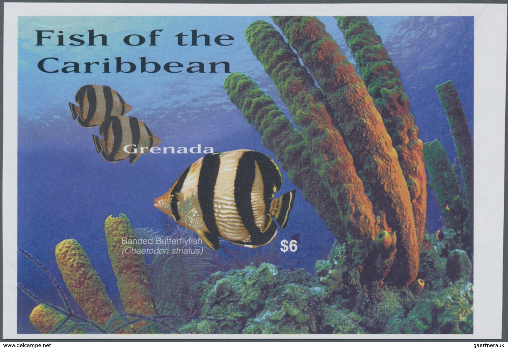 Thematik: Tiere-Fische / Animals-fishes: 2003, GRENADA: Fishes Of The Caribbean Complete IMPERFORATE - Fische