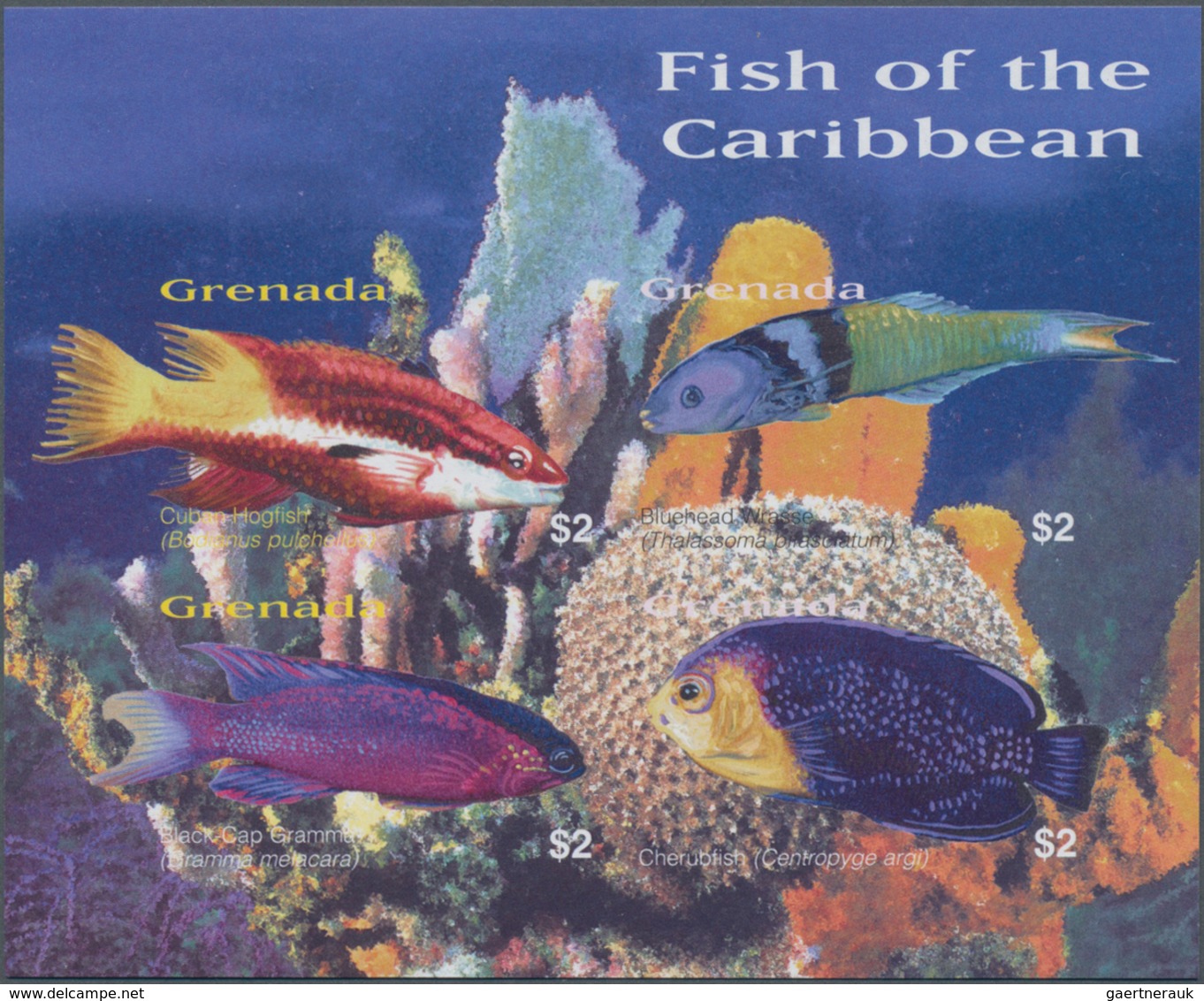 Thematik: Tiere-Fische / Animals-fishes: 2003, GRENADA: Fishes Of The Caribbean Complete IMPERFORATE - Fische