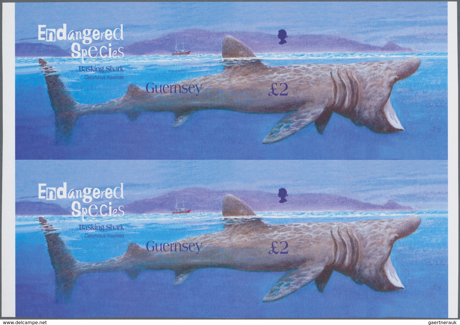 Thematik: Tiere-Fische / Animals-fishes: 2005, GUERNSEY: Endangered Species £2 'Basking Shark (Cetor - Fishes