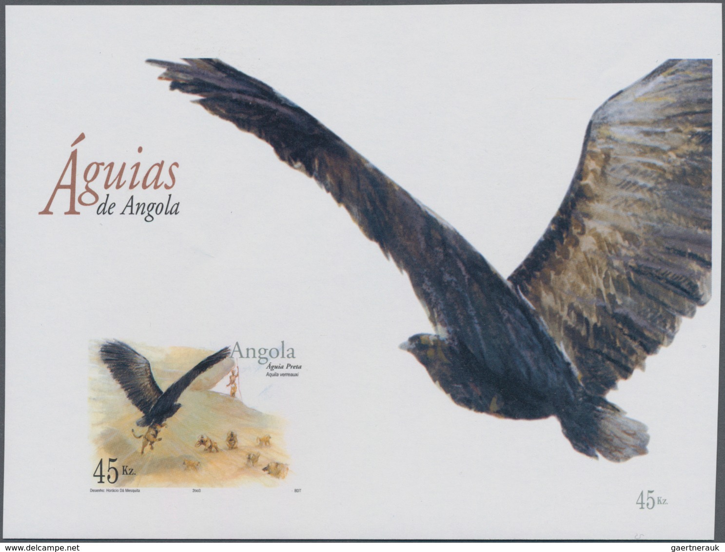 Thematik: Tiere-Greifvögel / Animals-birds Of Prey: 2003, ANGOLA: Domestic Eagles Complete Set Of Fo - Eagles & Birds Of Prey